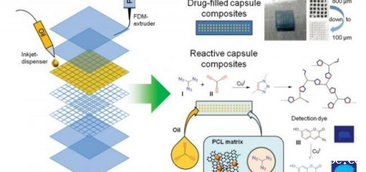 Study-Martin-Luther-University