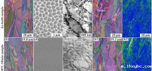 Shenyang_paper_material_3