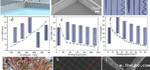 Article_core shell_2