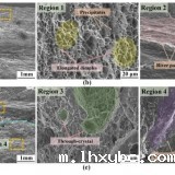 article_nanhang_11